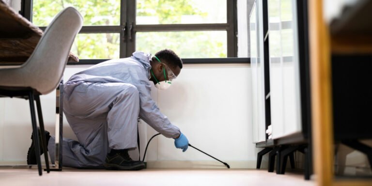 How to Prevent and Control Cockroach Infestations in Your Home