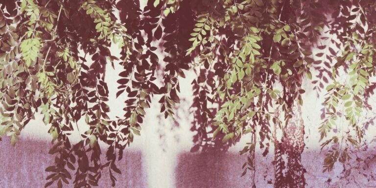 Unveiling the Power of Moringa: A Nutritional Powerhouse for Holistic Well-being