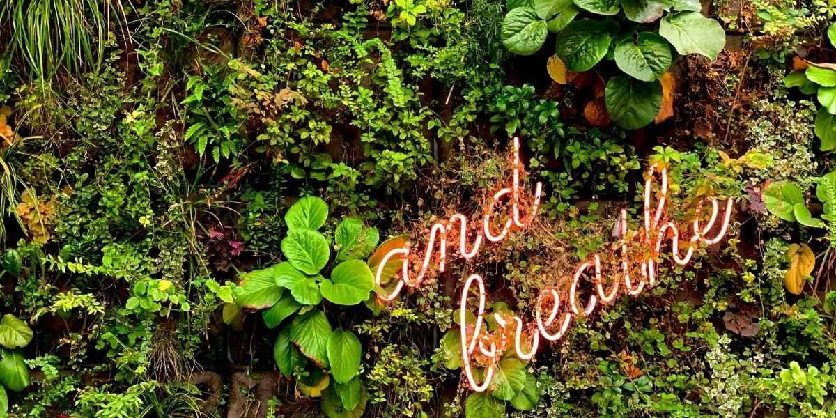 How Breathwork Can Help You Manage Stress and Build Resilience